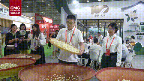 央视关注！茉莉飘香以茶会友，两岸茶界共叙茶情
