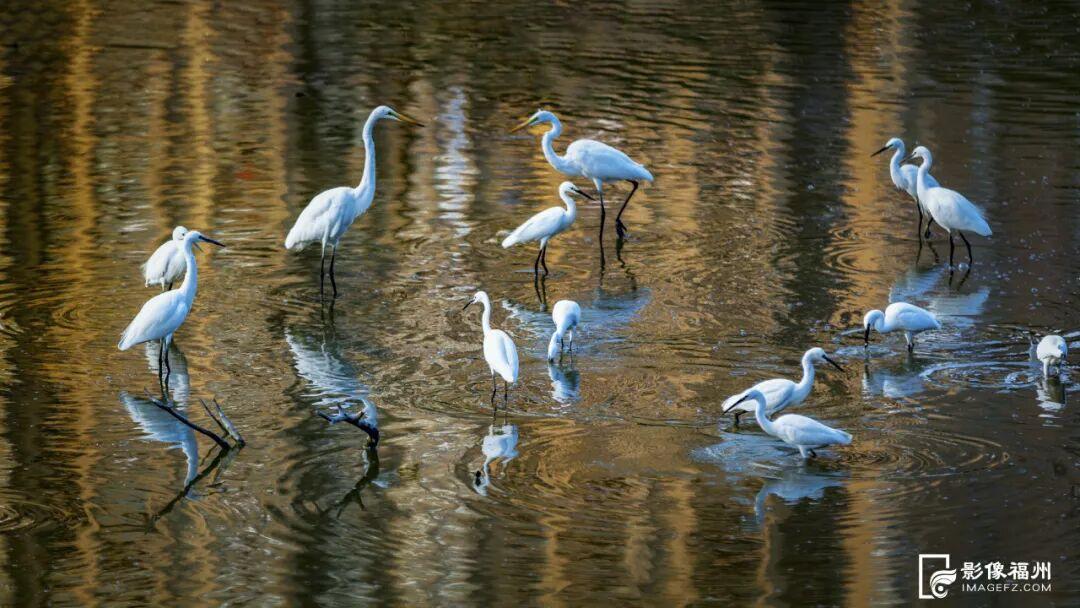福州的幸福河湖什么样？
