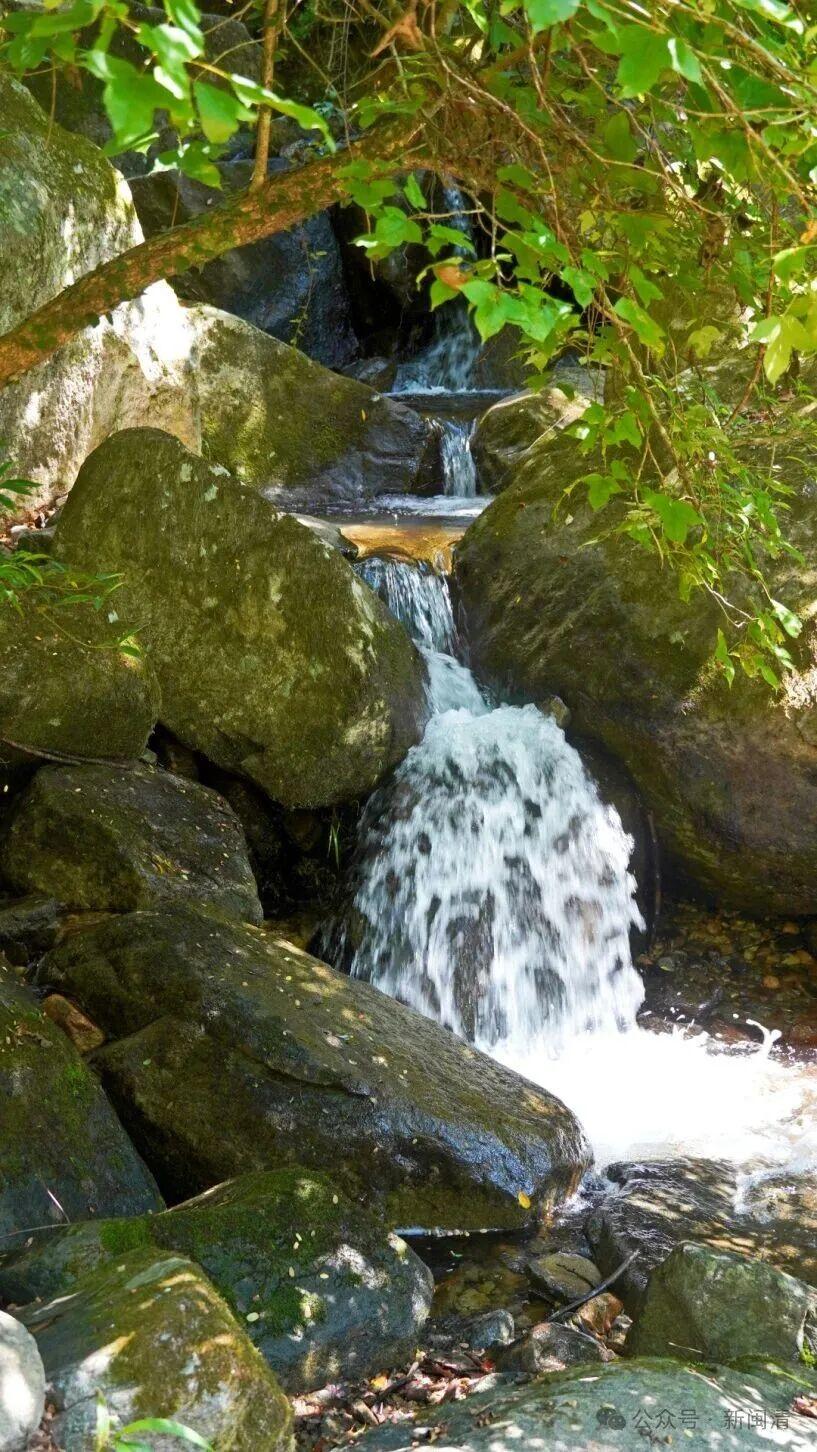 趁“热”出发！探寻闽清山林溪谷间的清凉秘境！
