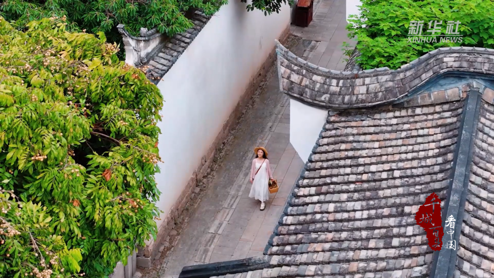 千城百县看中国｜福建福州：白露凝珠龙眼香