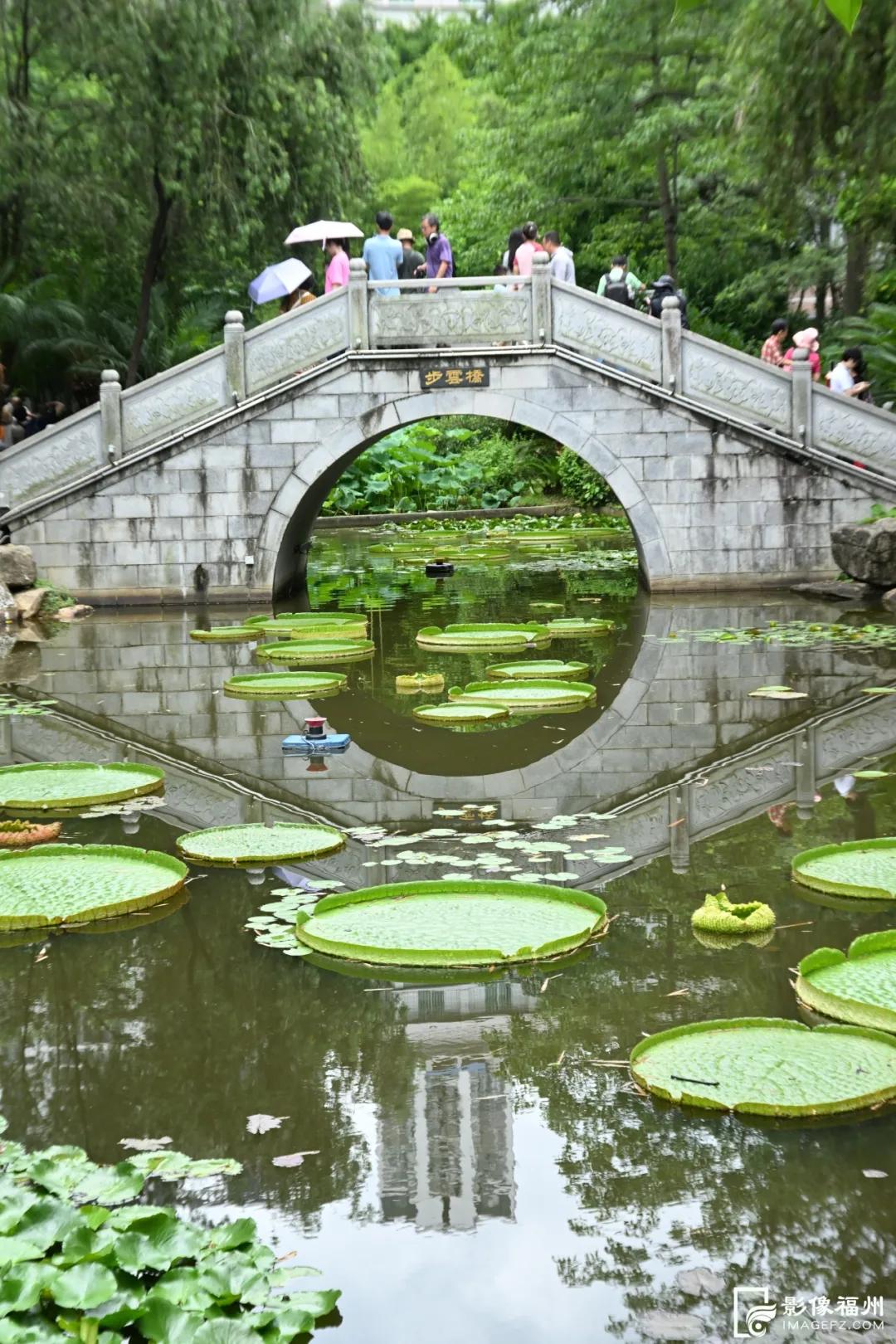 “DarLing”到了！台融君带你去看茶亭有亭吗？