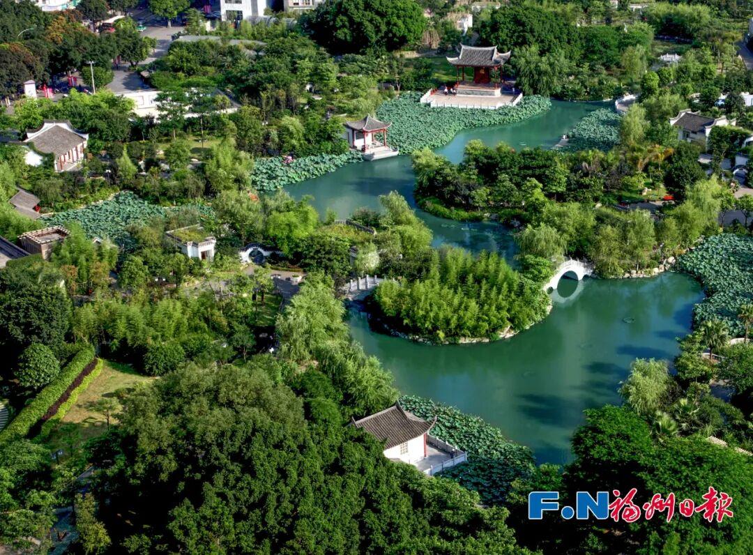 “DarLing”到了！台融君带你去看茶亭有亭吗？