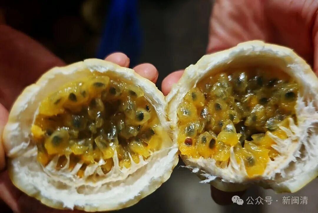 乡村振兴看闽清 | 从田间到舌尖！甜蜜产业带火乡村经济