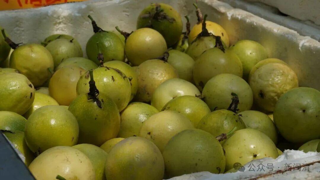 乡村振兴看闽清 | 从田间到舌尖！甜蜜产业带火乡村经济