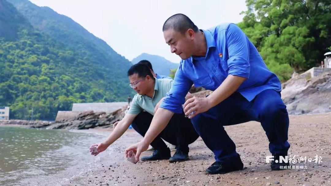 682万只中国鲎和双齿围沙蚕入海 罗源湾迎来生态修复新动能