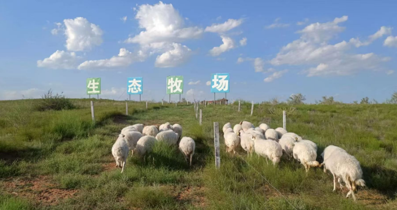 29年，跨越千里的闽宁“山海情”