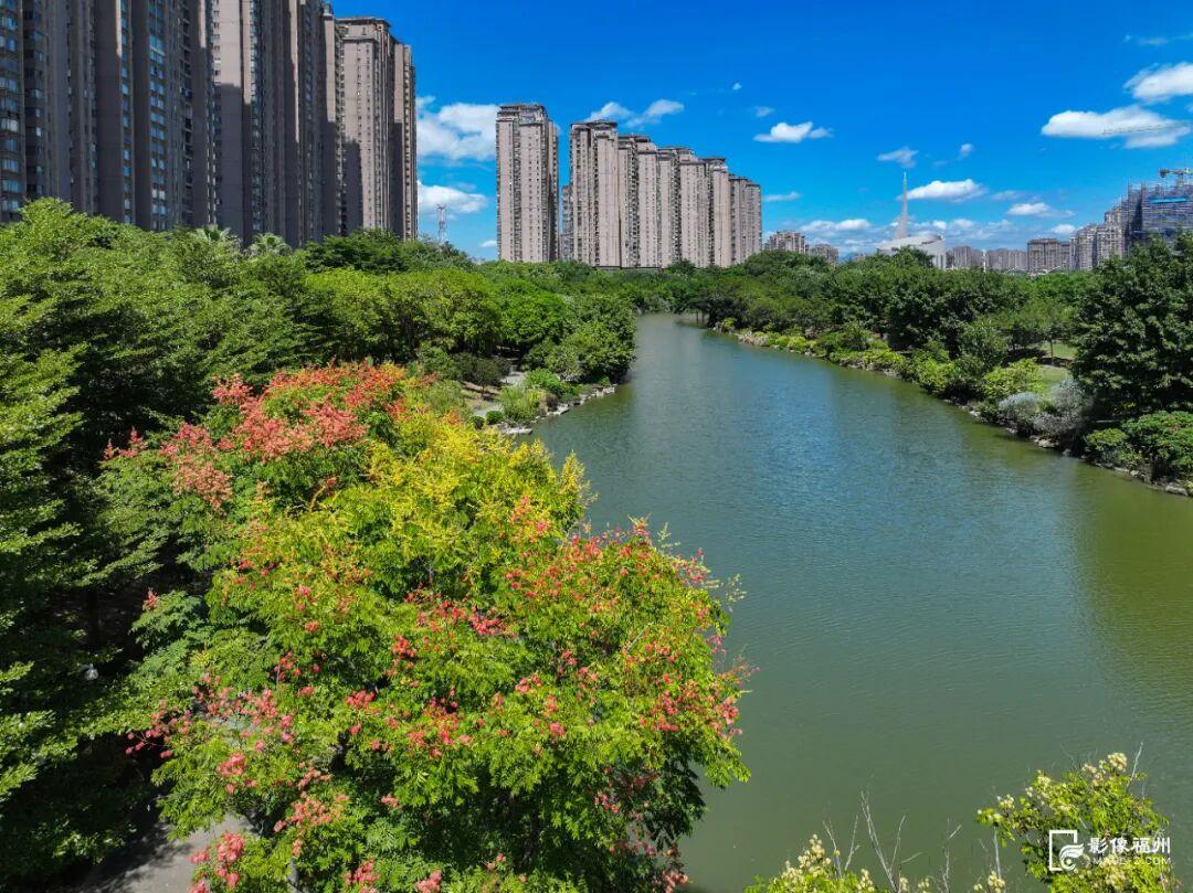 秋日限定！进入盛花期