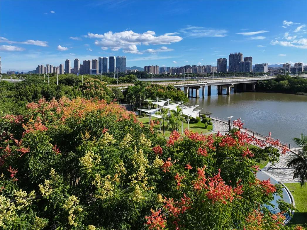 秋日限定！进入盛花期