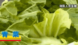 一身冷汗！忘关火，出门27天回家后才发现……