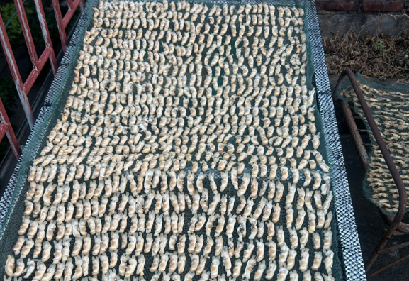 七遍淘洗、三次熬煮！探访濒临失传的闽菜“黄金配角”