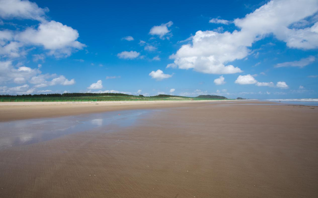 向全球推介！福州这里获国际认可！