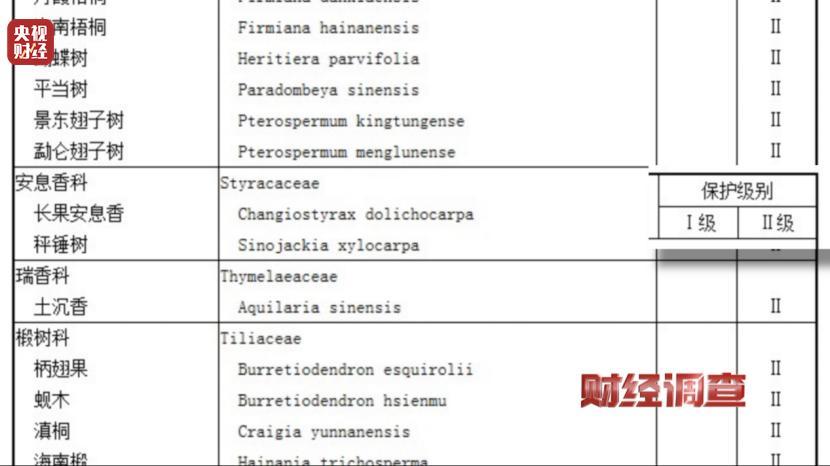 央视曝光沉香商家挂羊头卖狗肉
