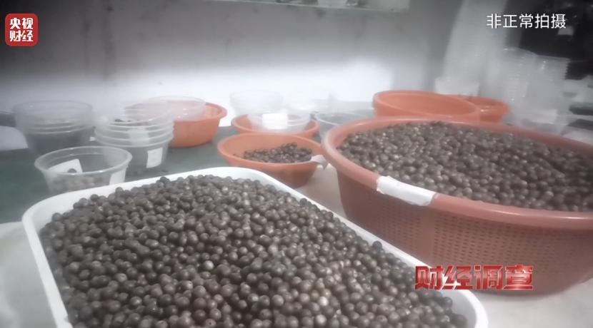 央视曝光沉香商家挂羊头卖狗肉