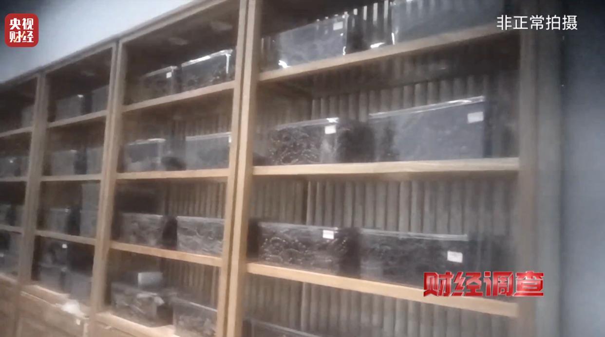 央视曝光沉香商家挂羊头卖狗肉