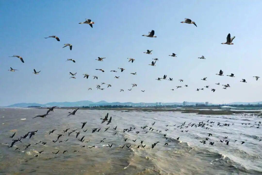 官宣！第二届“水美长乐 幸福河湖”摄影比赛结果揭晓，58幅佳作定格河湖之美