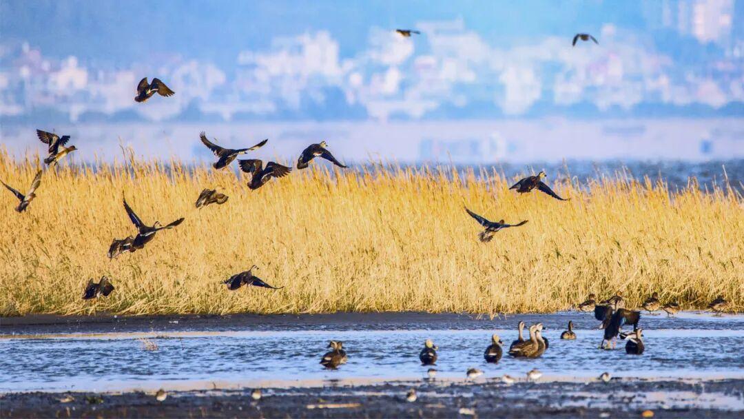 官宣！第二届“水美长乐 幸福河湖”摄影比赛结果揭晓，58幅佳作定格河湖之美