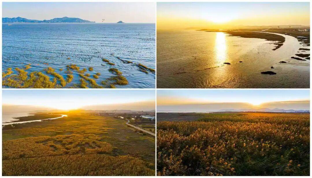 官宣！第二届“水美长乐 幸福河湖”摄影比赛结果揭晓，58幅佳作定格河湖之美