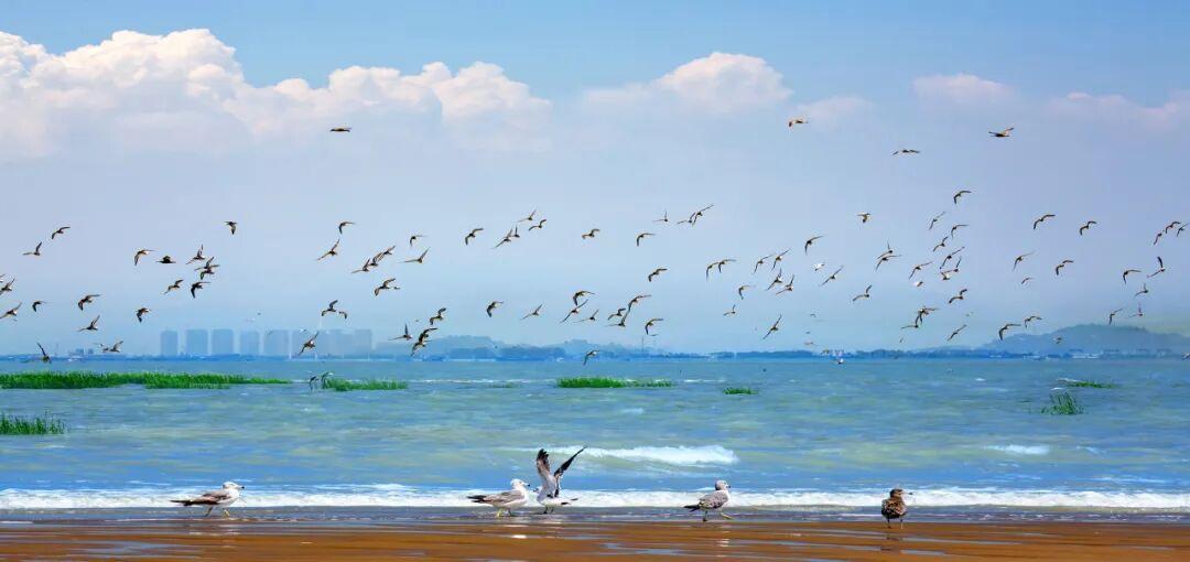 官宣！第二届“水美长乐 幸福河湖”摄影比赛结果揭晓，58幅佳作定格河湖之美