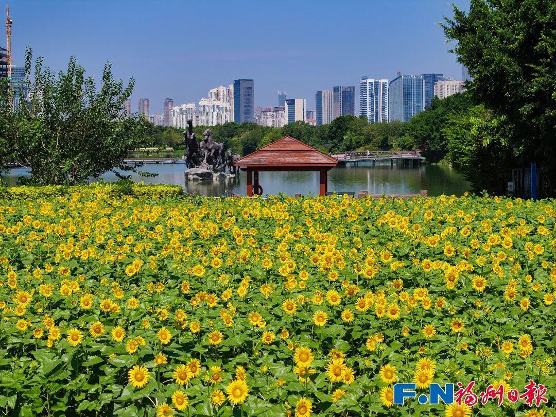 七年等一回！福州这个公园，美翻了！快去打卡