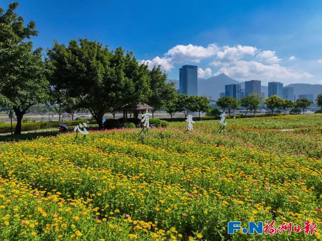 七年等一回！福州这个公园，美翻了！快去打卡