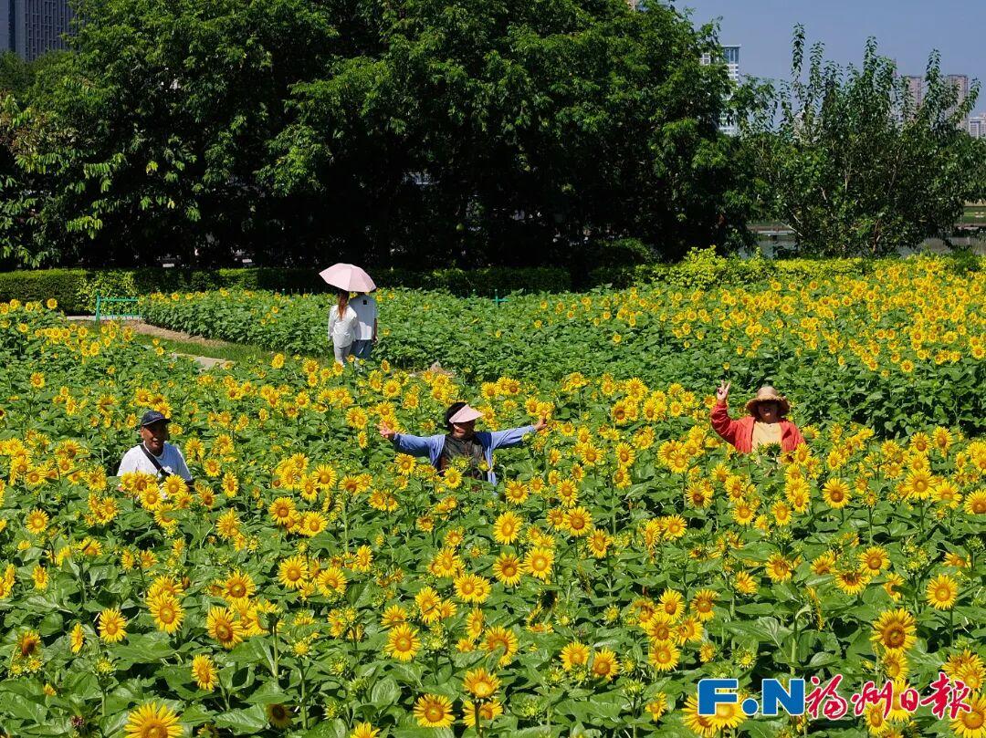 七年等一回！福州这个公园，美翻了！快去打卡