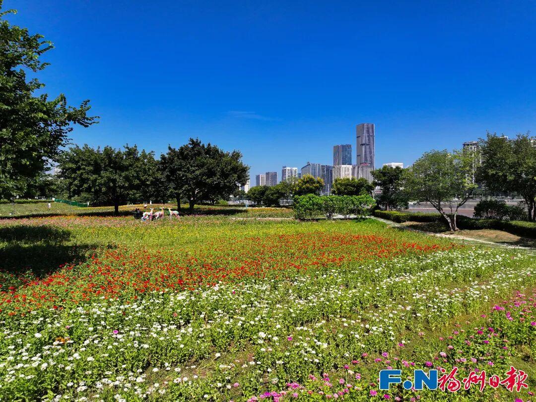 七年等一回！福州这个公园，美翻了！快去打卡