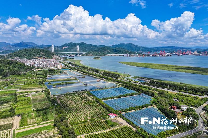 育好一粒种“菜谱”更丰富 琅岐抢占现代农业制高点