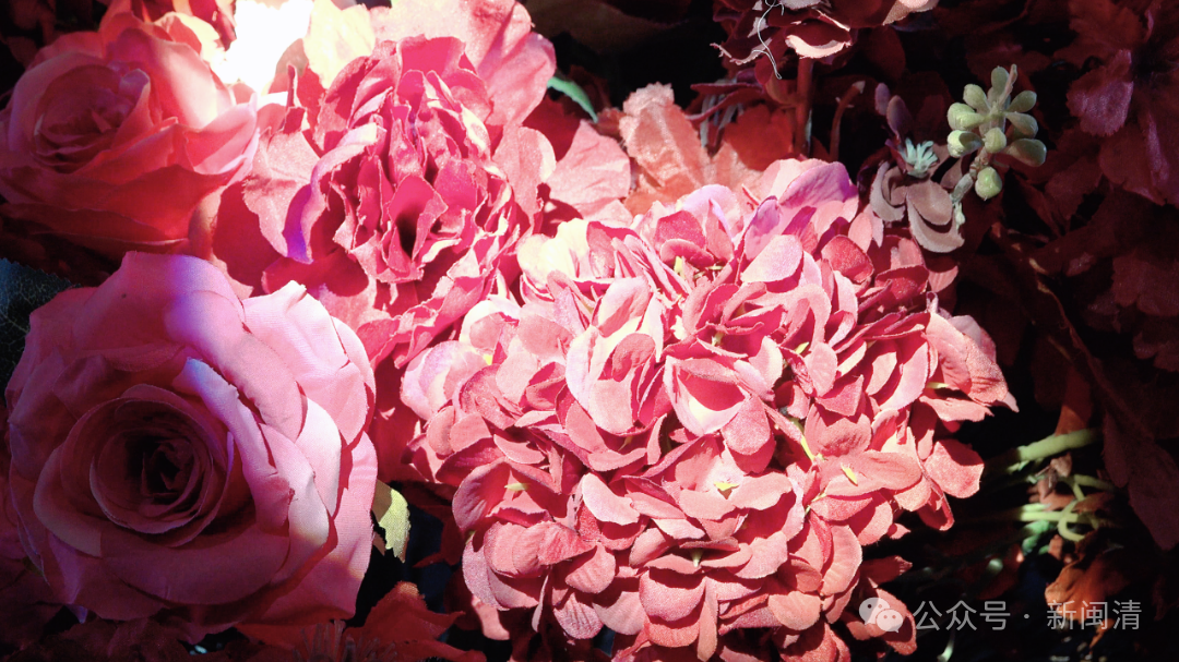 闽清这场婚博会，让爱情“甜度超标”！