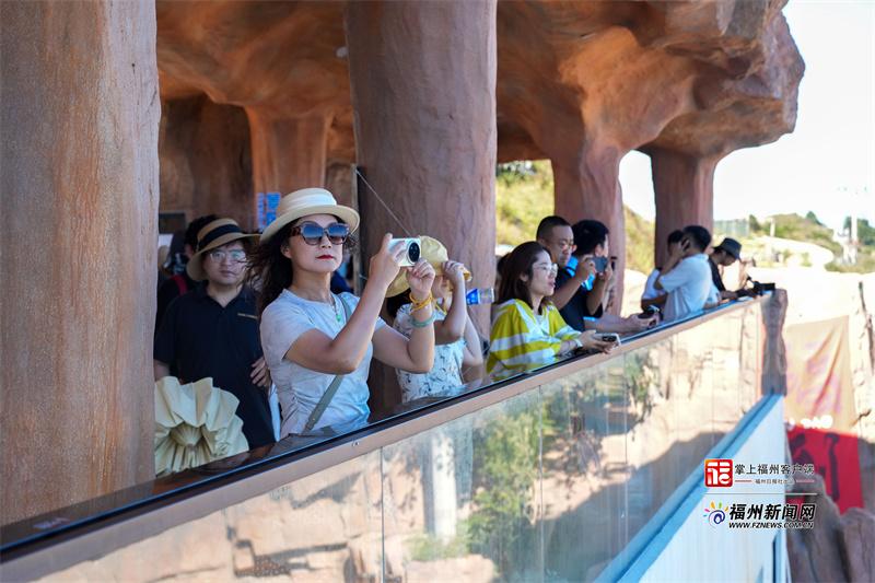 “榕荫福州”网络媒体、大V采风行活动收官 ​网络大V多维传播福州故事