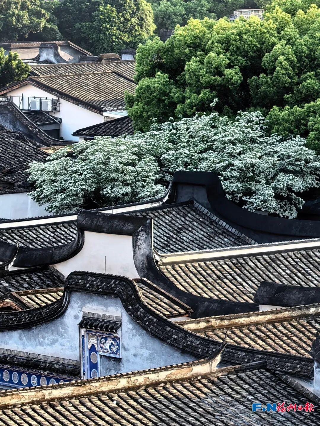 “声”动闽都！用你的声音解锁福州文化基因库