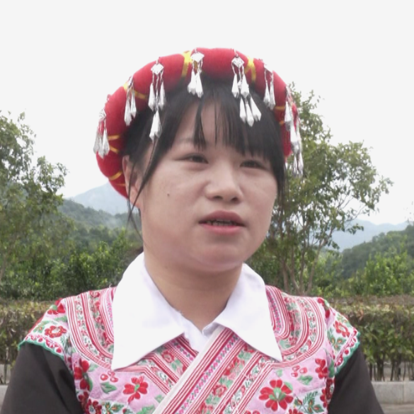 聚焦网络安全，守护罗源百姓“钱袋子”！