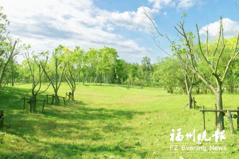 福州将添健身休闲好去处 东湖体育公园规模相当于7.3个西湖公园