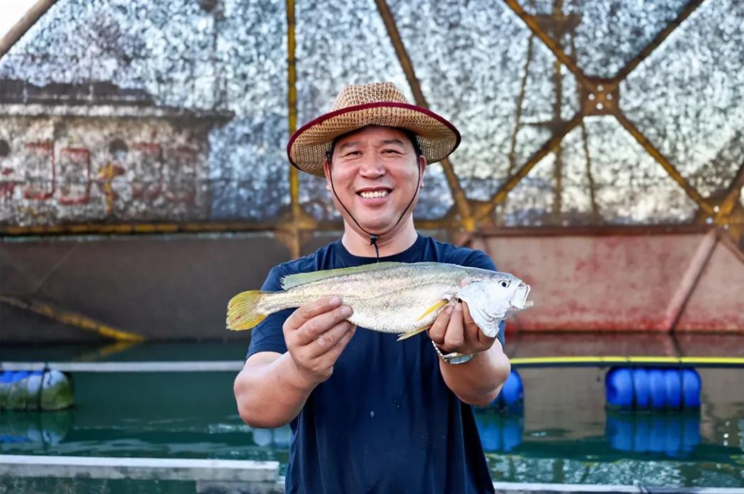 央视报道！大量上市！福州人过节必吃