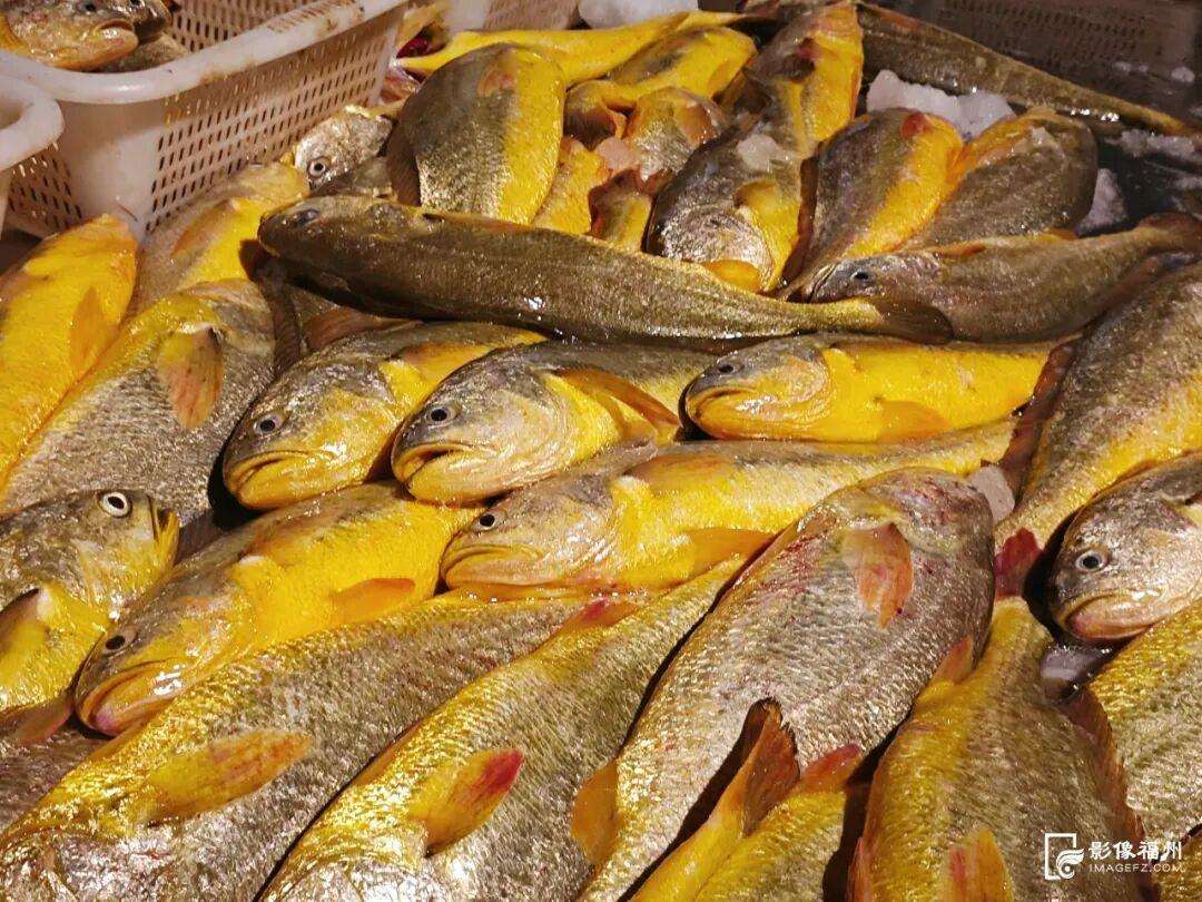 央视报道！大量上市！福州人过节必吃