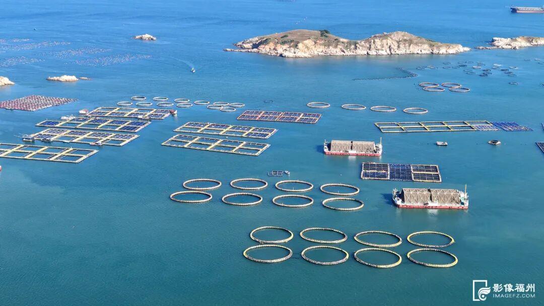 央视报道！大量上市！福州人过节必吃