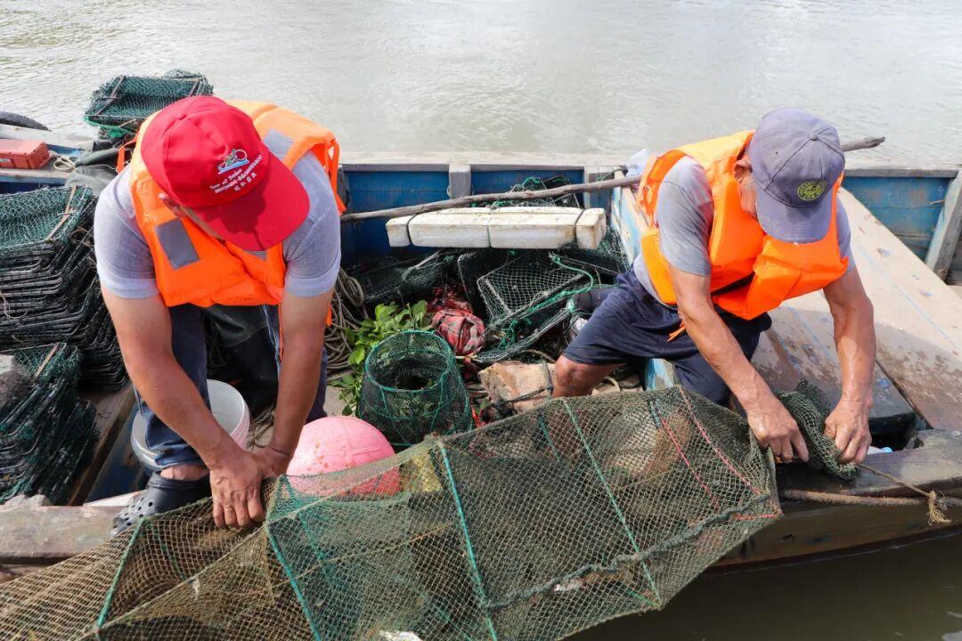 膏满黄肥！福州人超爱，正迎来最佳赏味期！