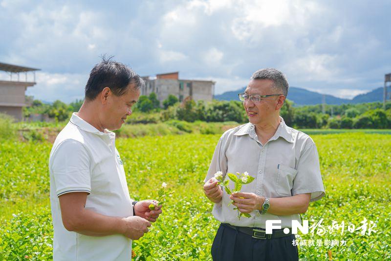 左海会客厅｜叶乃兴：福州单瓣茉莉守护者