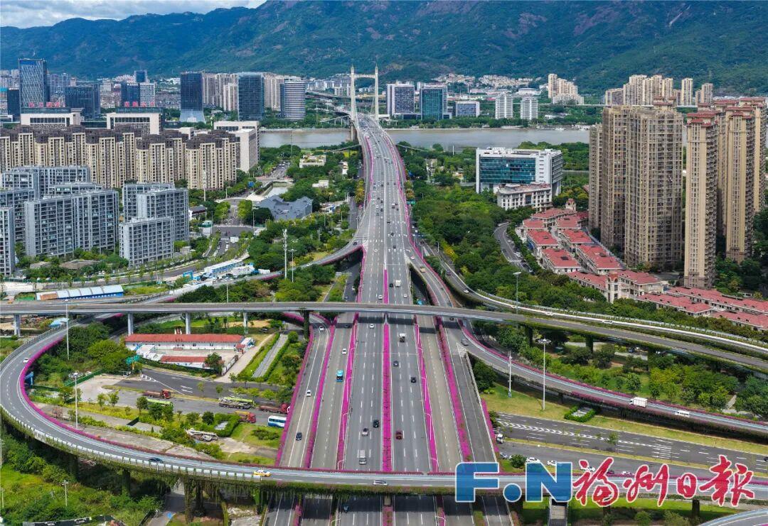 快看！福州高架桥上独特秋景！