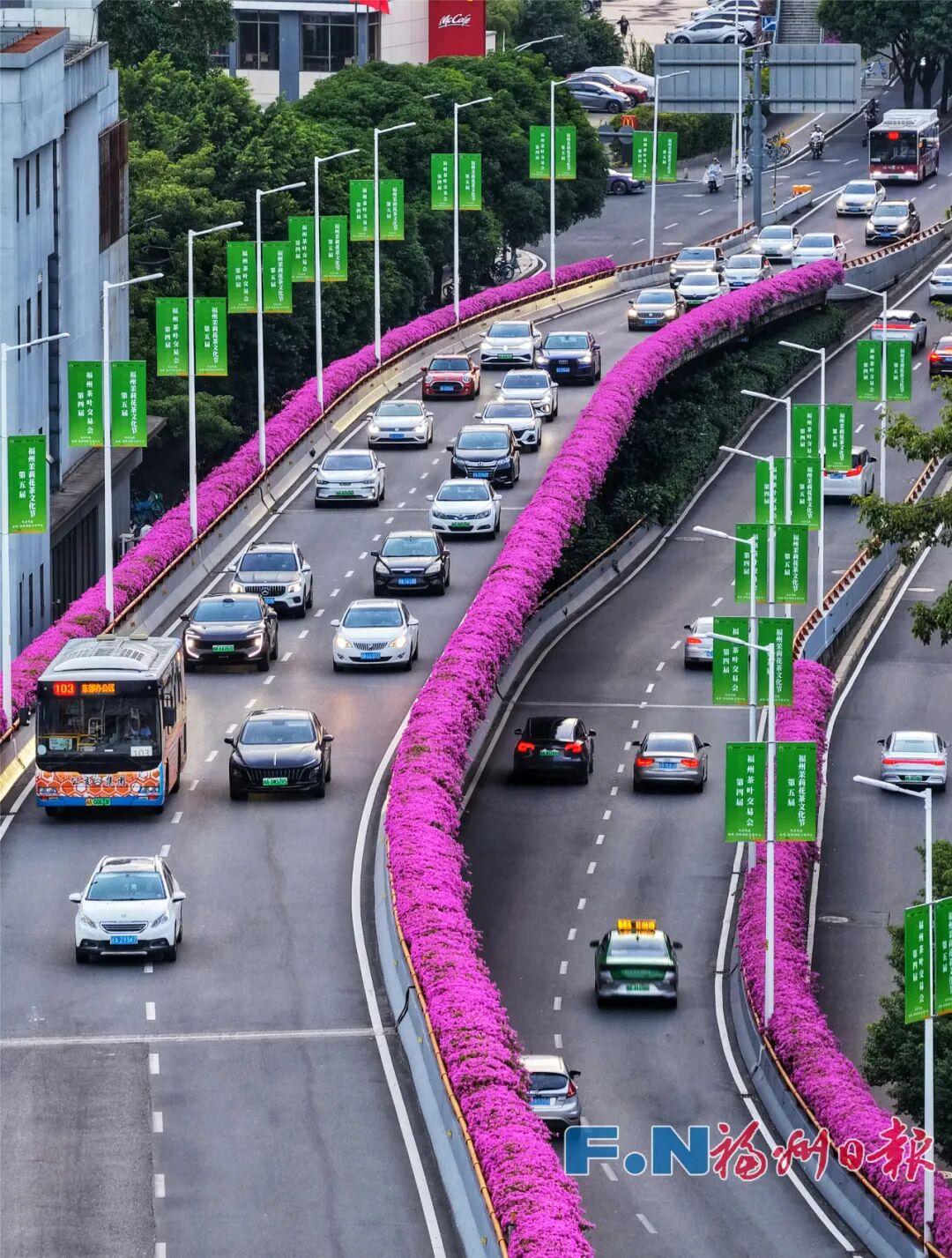 快看！福州高架桥上独特秋景！
