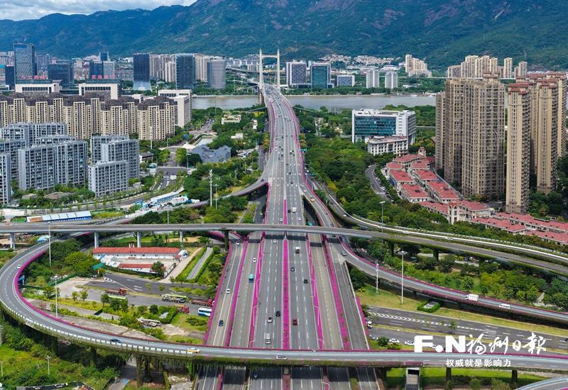 林浦互通姹紫嫣红主路 7条三角梅花带同期盛开