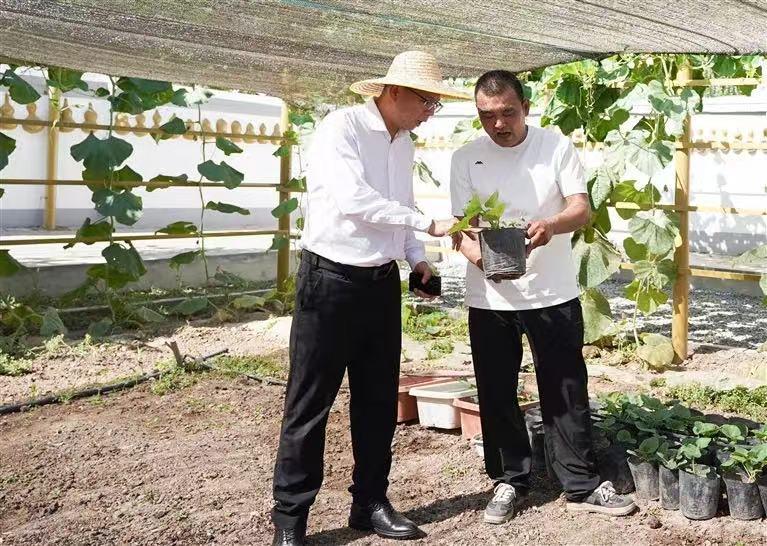 从闽江到天山，福建人为何一次次奔赴？