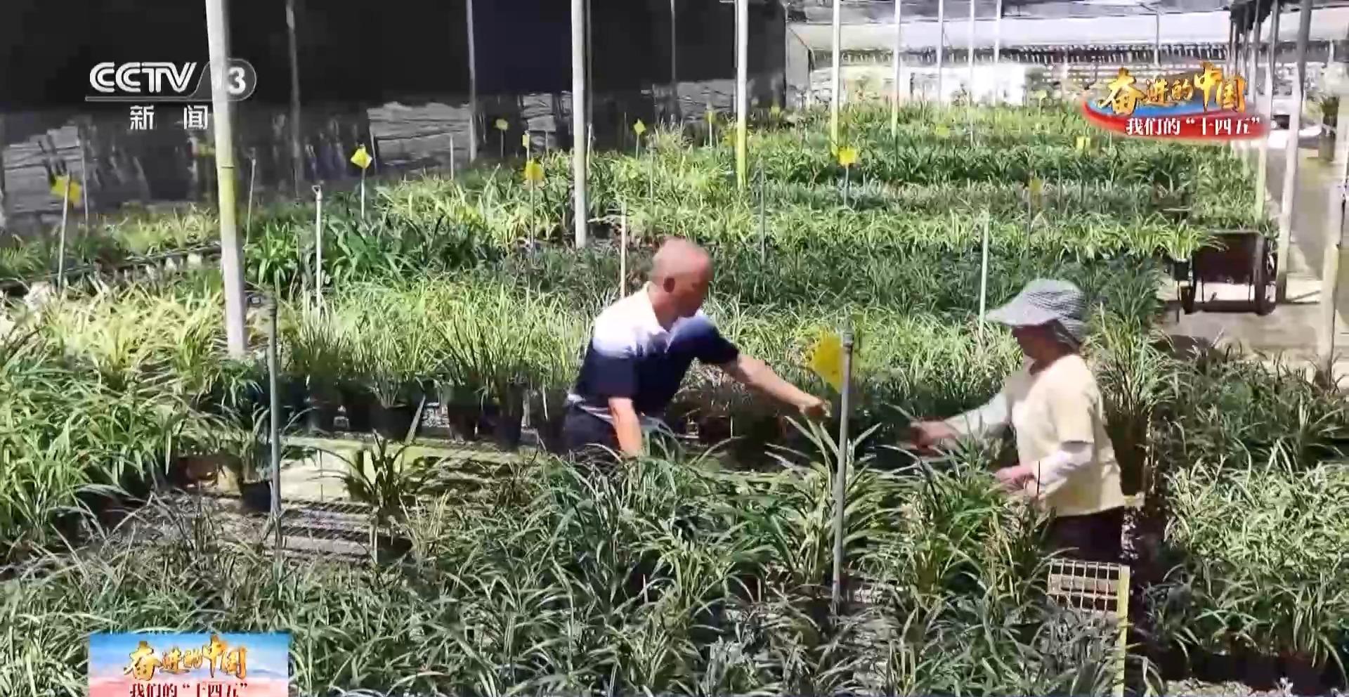 生活事業蒸蒸日上 臺胞臺企在福建獲得感滿滿