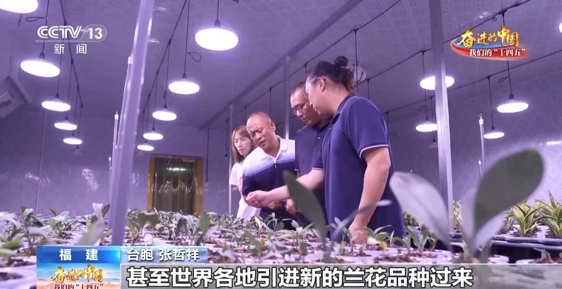 生活事業蒸蒸日上 臺胞臺企在福建獲得感滿滿