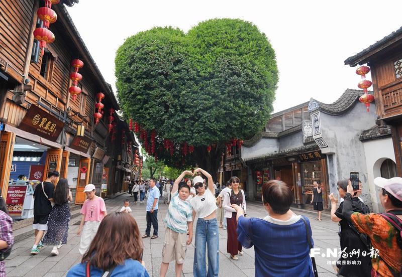 从“一棵树”到“千园之城” 福州持续提质增绿让市民尽享生态福祉