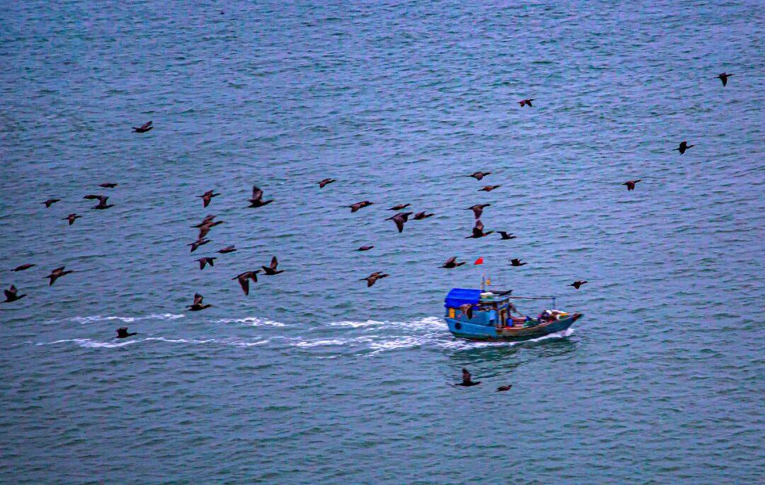 央视新闻点赞！福州也太上镜了！