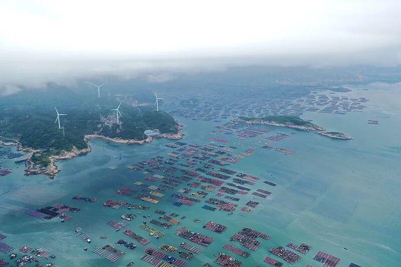 央视新闻点赞！福州也太上镜了！