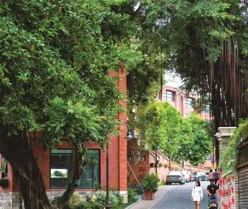 央视新闻点赞！福州也太上镜了！