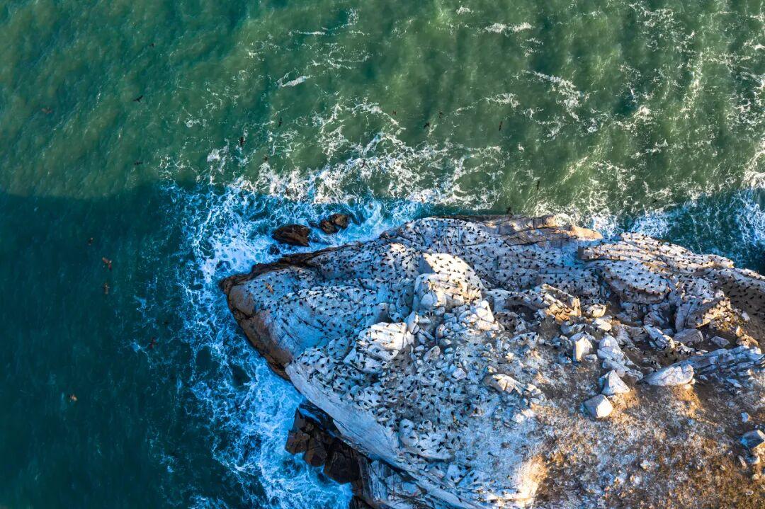 央视新闻点赞！福州也太上镜了！