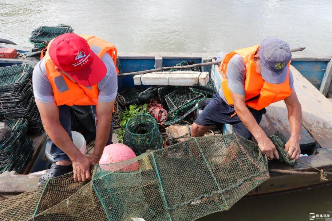 今日秋分，福州美成了诗！
