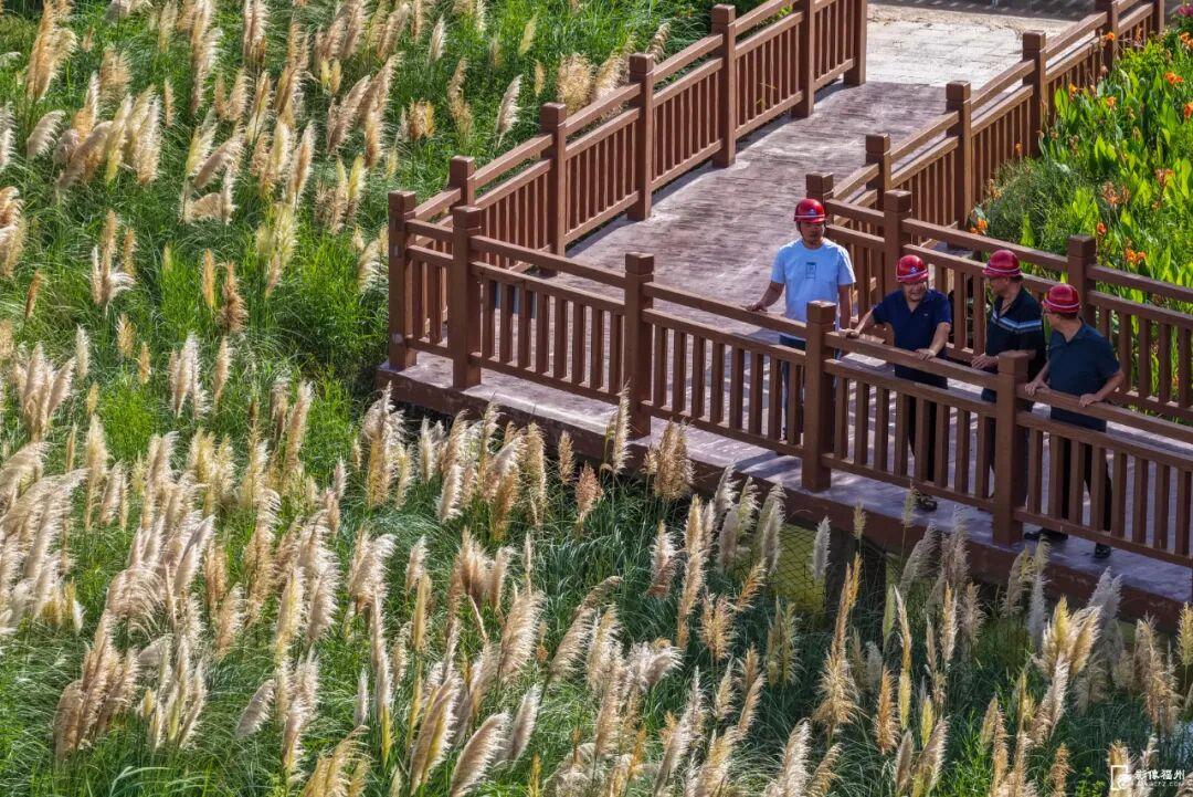 今日秋分，福州美成了诗！